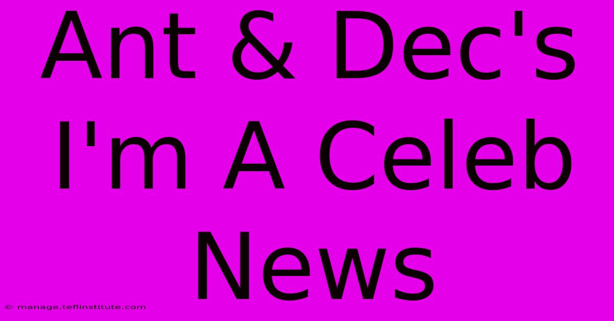 Ant & Dec's I'm A Celeb News