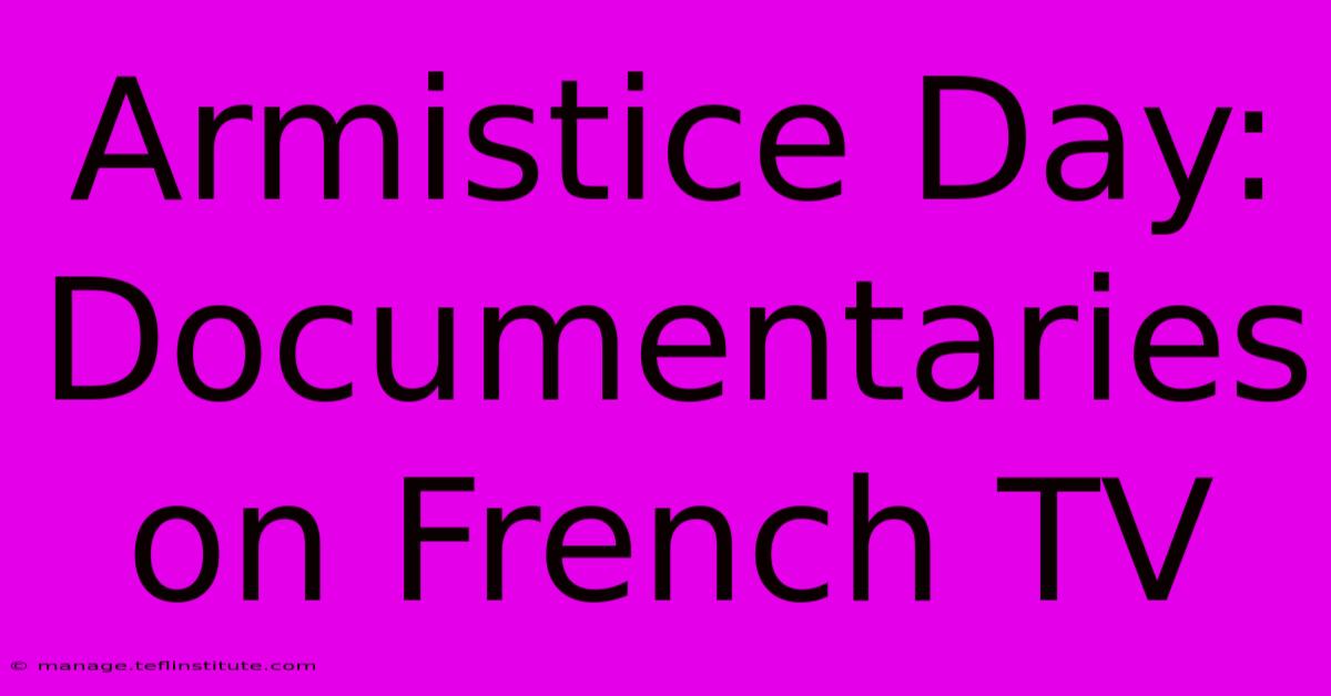 Armistice Day: Documentaries On French TV