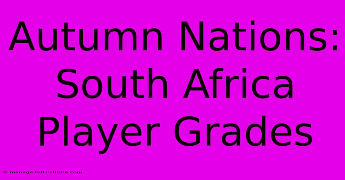 Autumn Nations: South Africa Player Grades