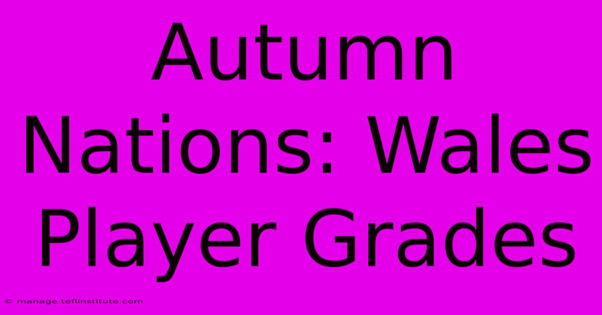 Autumn Nations: Wales Player Grades