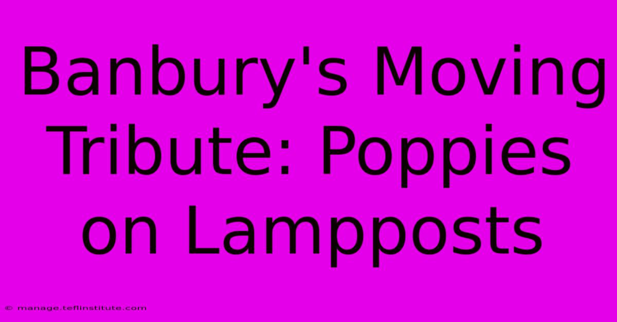 Banbury's Moving Tribute: Poppies On Lampposts