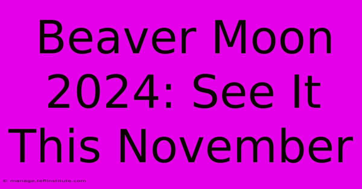 Beaver Moon 2024: See It This November