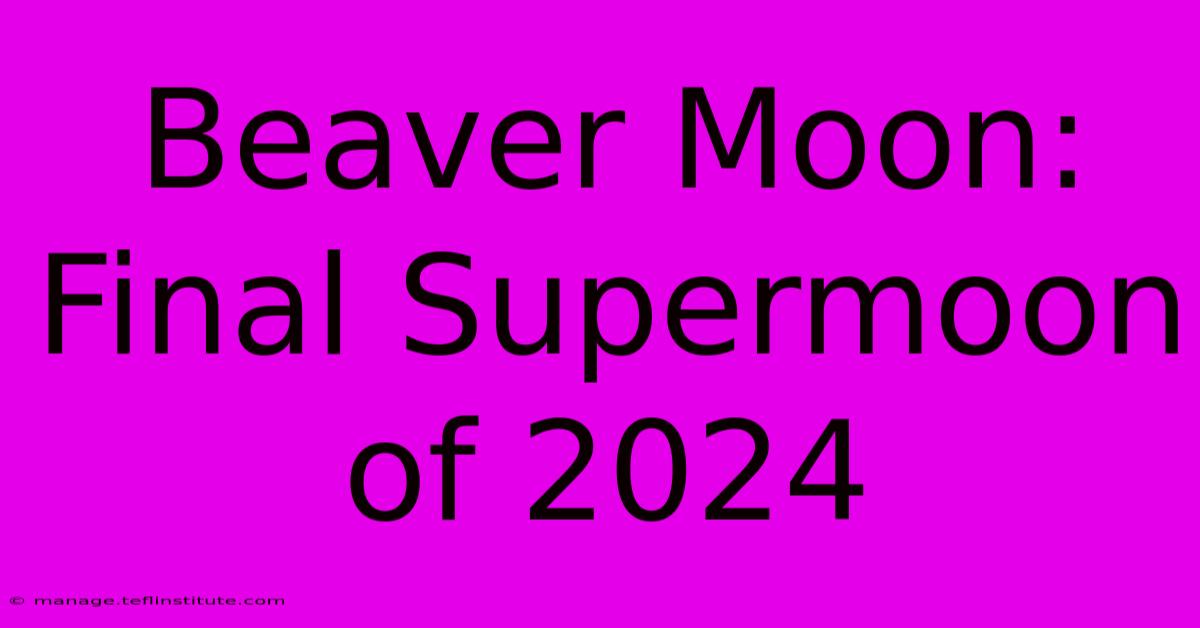 Beaver Moon: Final Supermoon Of 2024 