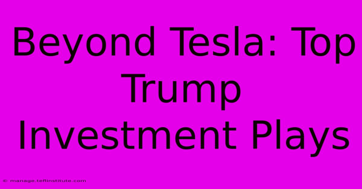 Beyond Tesla: Top Trump Investment Plays