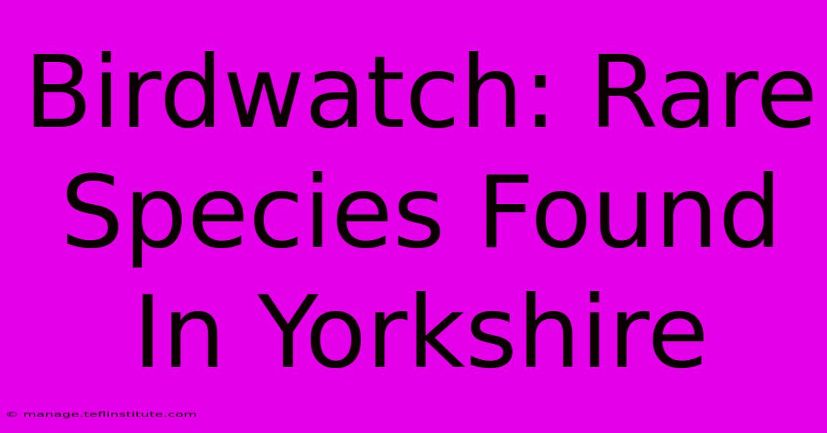 Birdwatch: Rare Species Found In Yorkshire