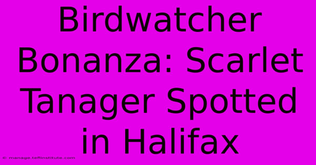 Birdwatcher Bonanza: Scarlet Tanager Spotted In Halifax