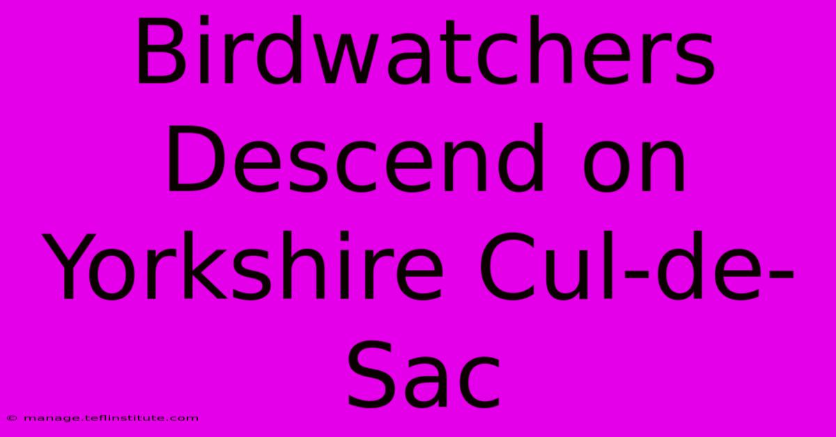 Birdwatchers Descend On Yorkshire Cul-de-Sac 