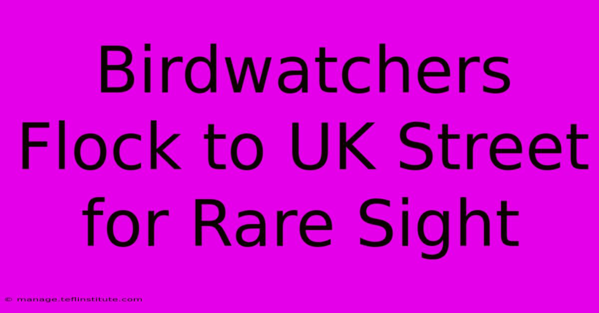 Birdwatchers Flock To UK Street For Rare Sight