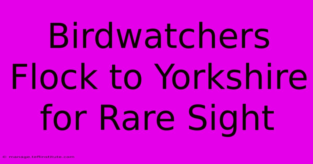 Birdwatchers Flock To Yorkshire For Rare Sight