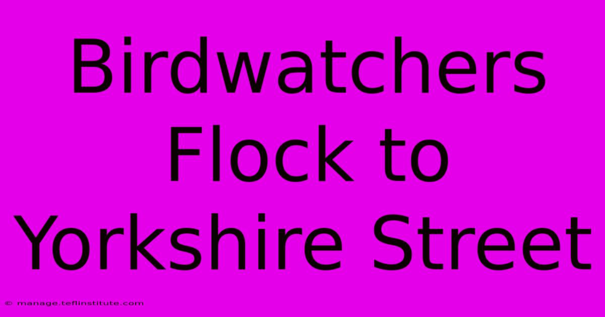 Birdwatchers Flock To Yorkshire Street