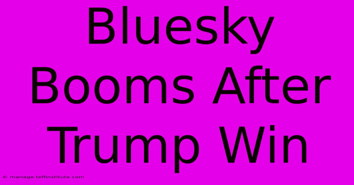 Bluesky Booms After Trump Win