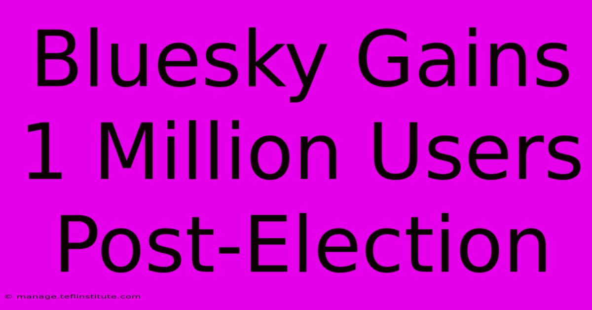 Bluesky Gains 1 Million Users Post-Election