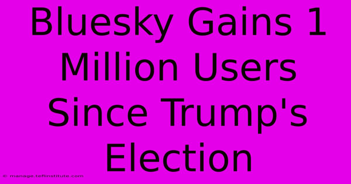 Bluesky Gains 1 Million Users Since Trump's Election