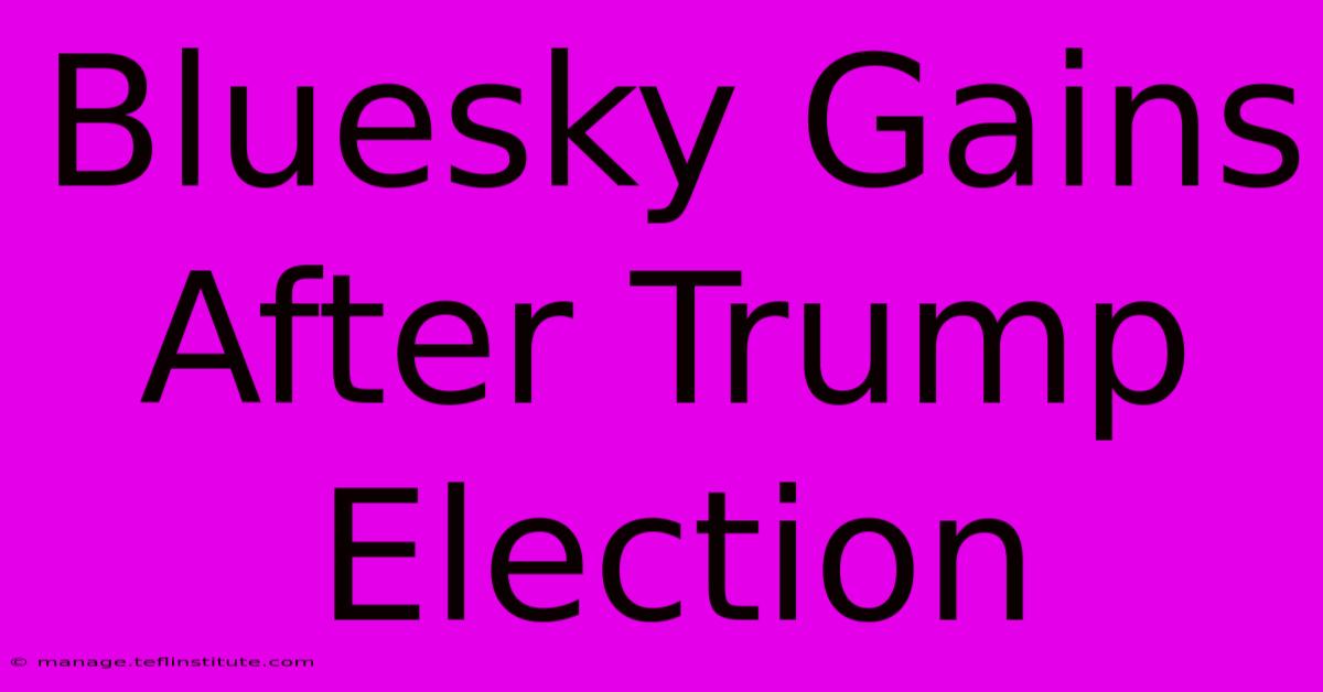 Bluesky Gains After Trump Election