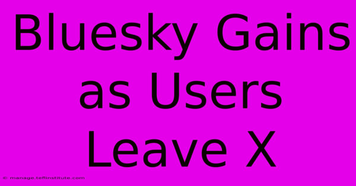 Bluesky Gains As Users Leave X