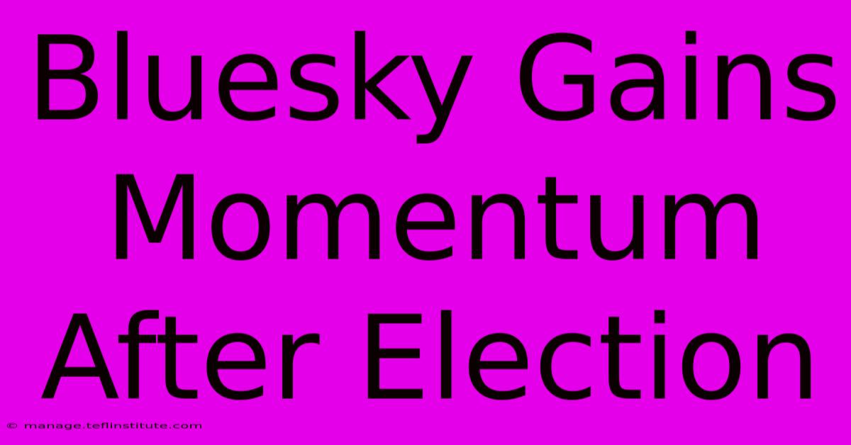 Bluesky Gains Momentum After Election