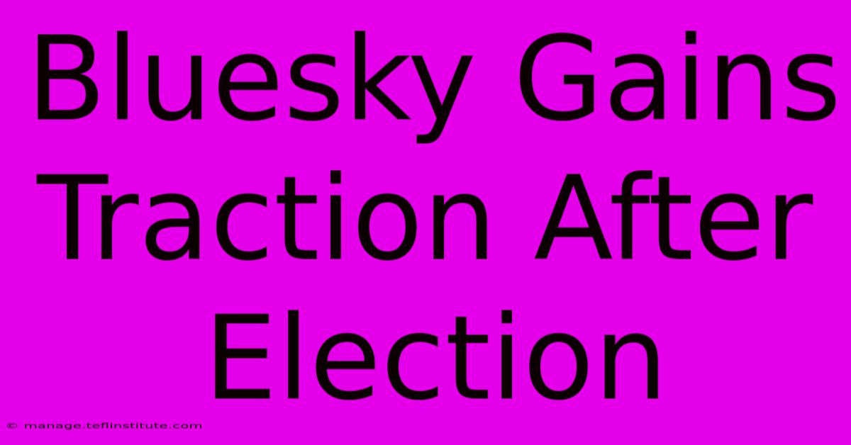 Bluesky Gains Traction After Election