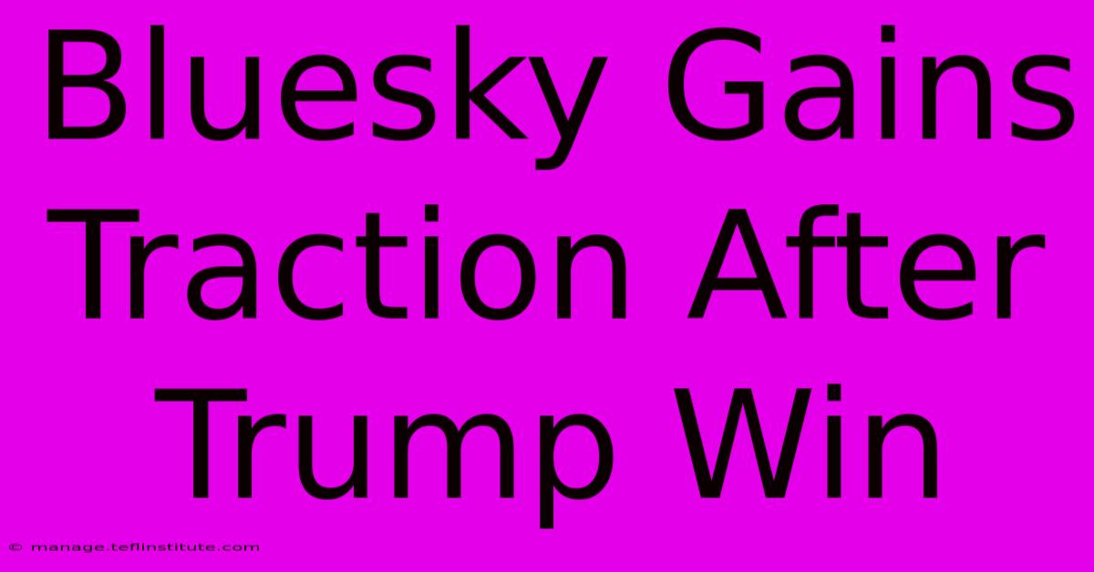 Bluesky Gains Traction After Trump Win