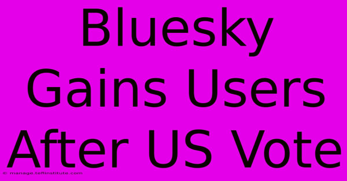 Bluesky Gains Users After US Vote