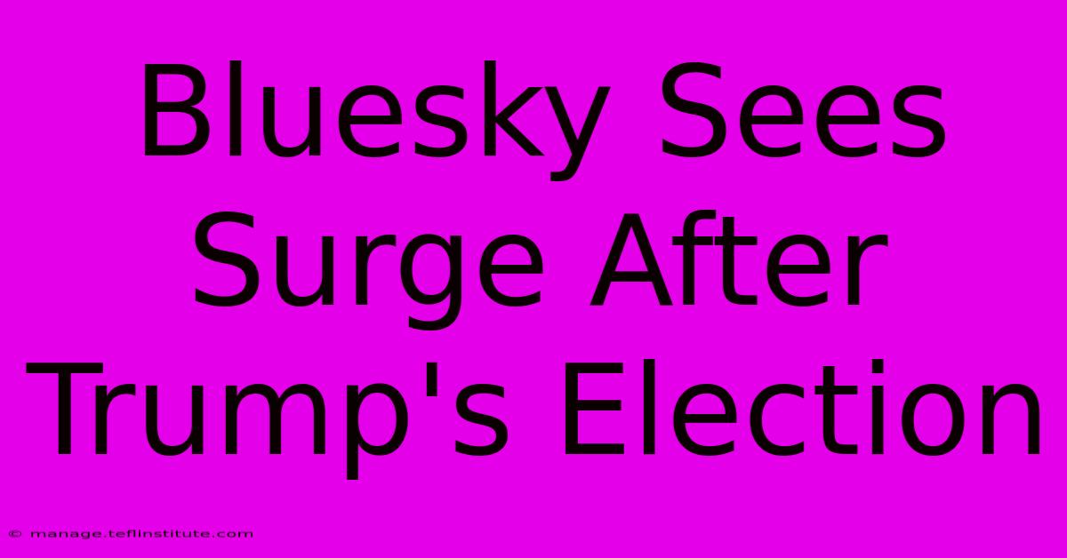 Bluesky Sees Surge After Trump's Election