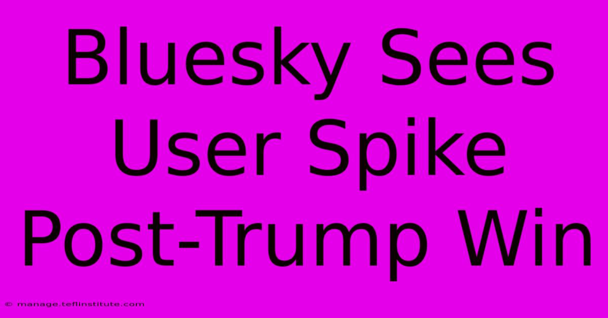 Bluesky Sees User Spike Post-Trump Win