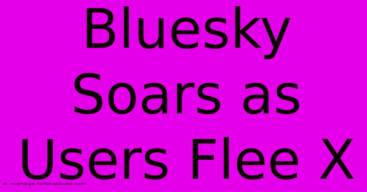 Bluesky Soars As Users Flee X