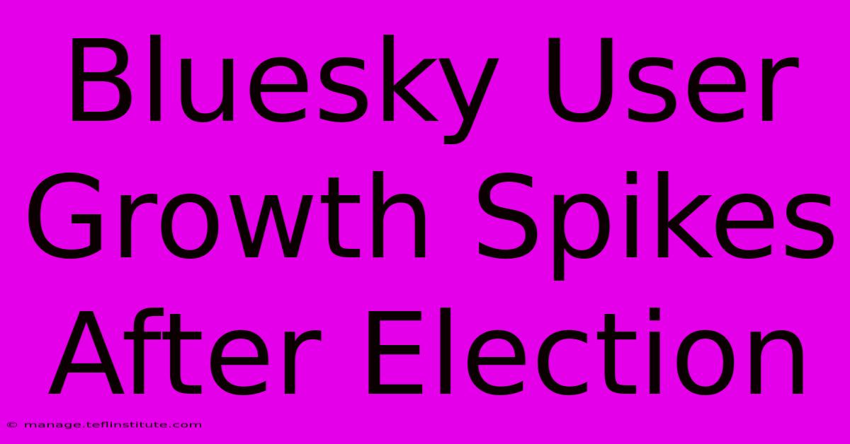 Bluesky User Growth Spikes After Election