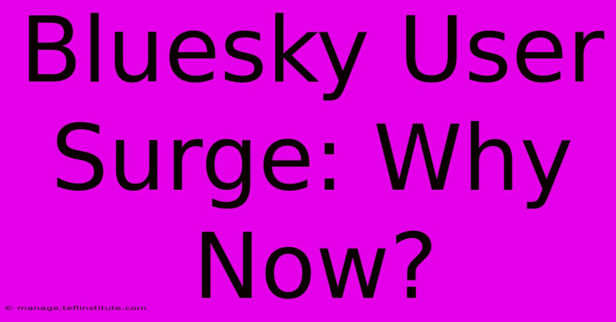 Bluesky User Surge: Why Now?