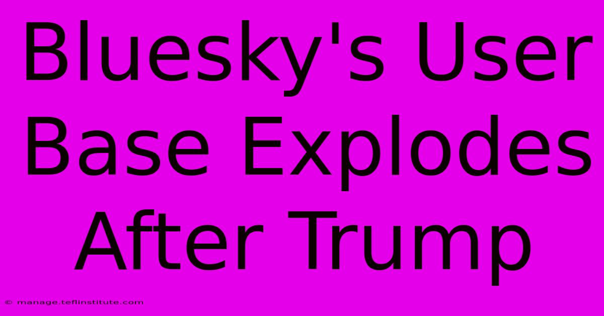 Bluesky's User Base Explodes After Trump  