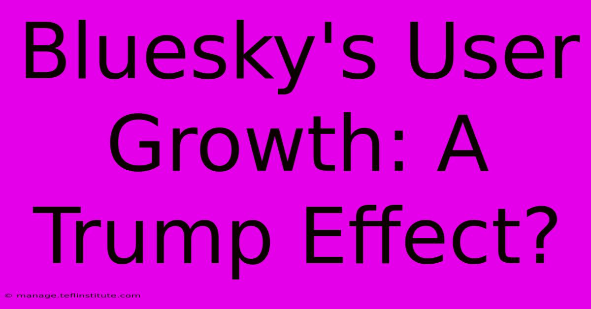 Bluesky's User Growth: A Trump Effect? 