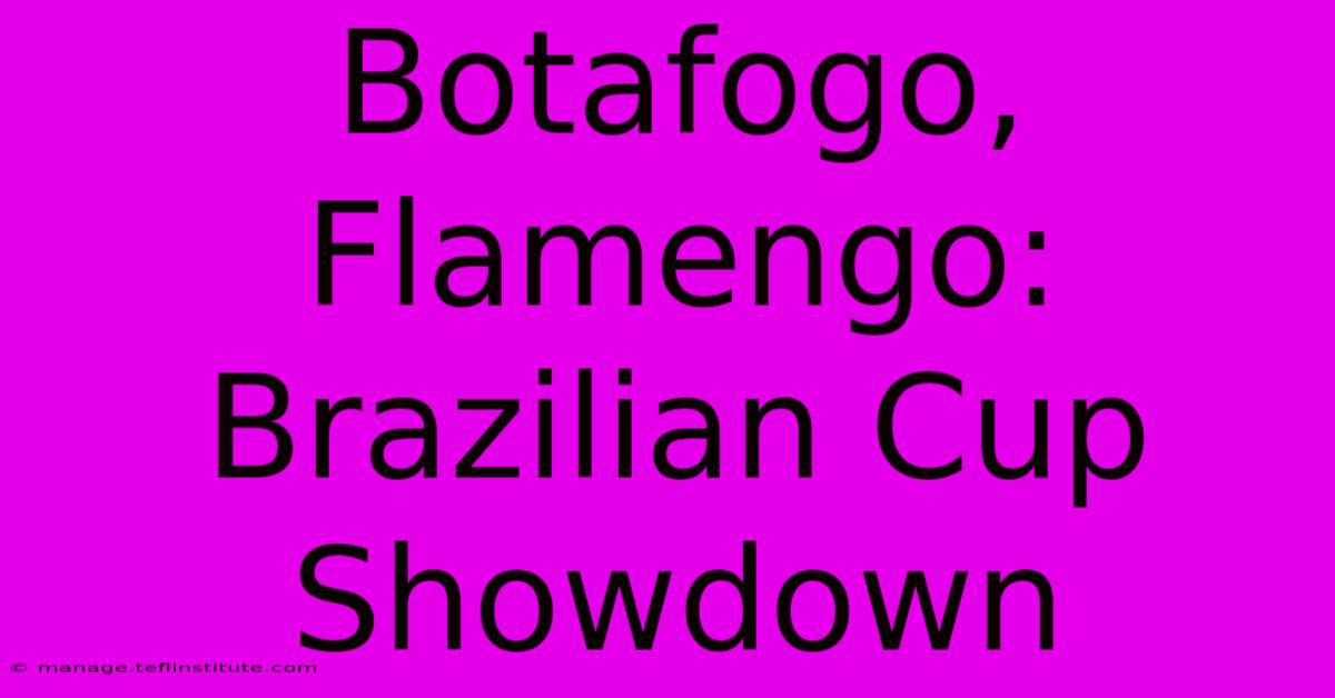 Botafogo, Flamengo: Brazilian Cup Showdown 