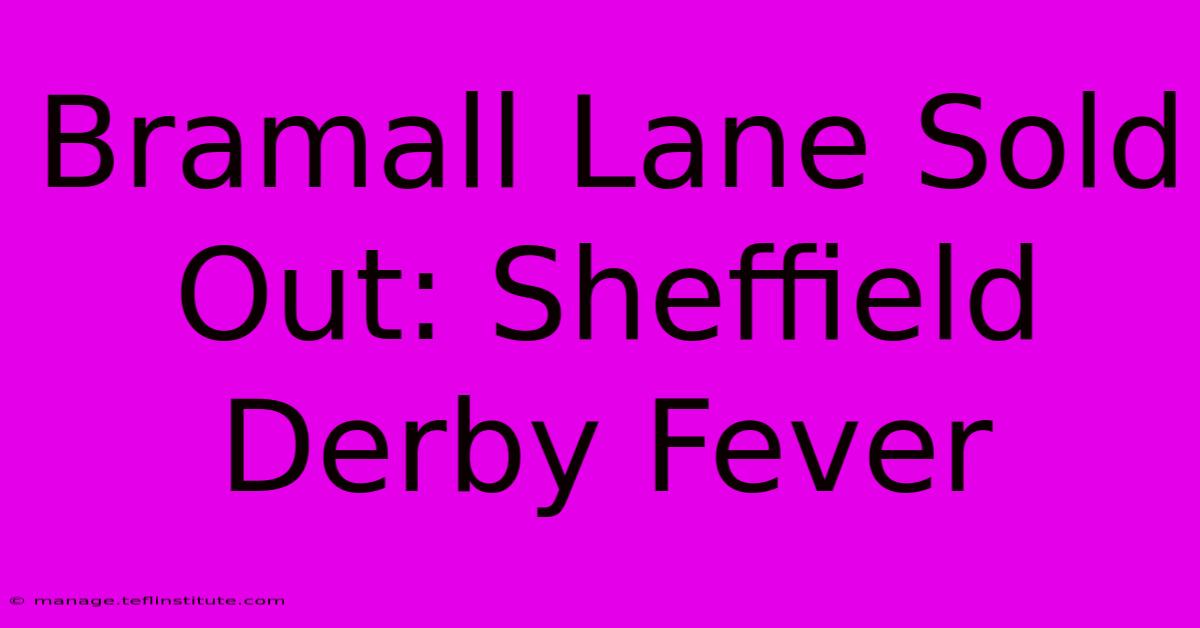 Bramall Lane Sold Out: Sheffield Derby Fever