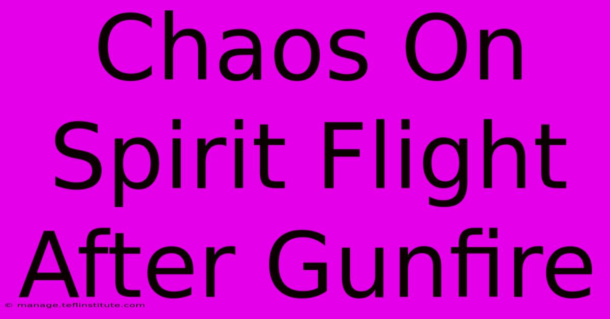 Chaos On Spirit Flight After Gunfire