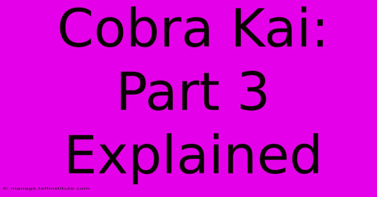 Cobra Kai: Part 3 Explained