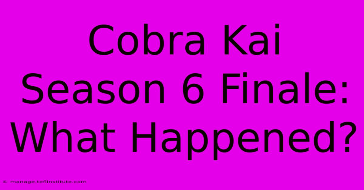 Cobra Kai Season 6 Finale: What Happened?