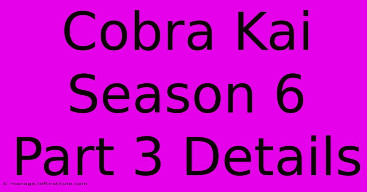 Cobra Kai Season 6 Part 3 Details