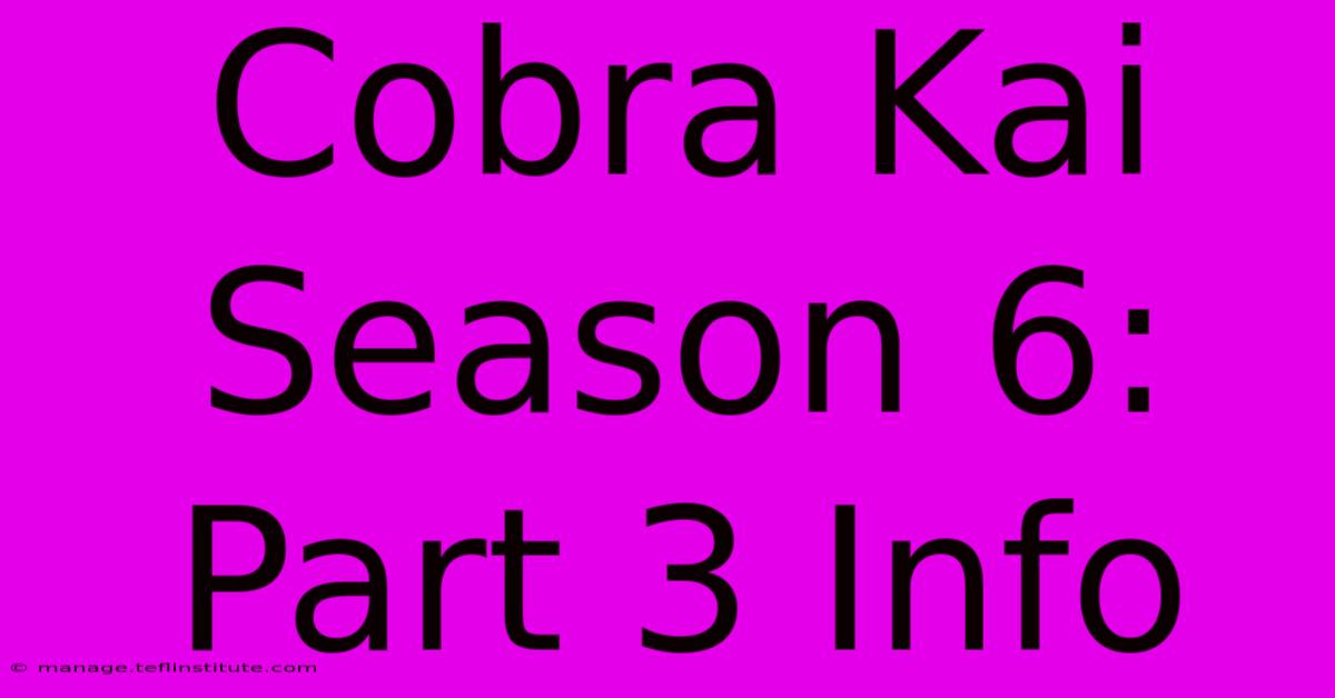 Cobra Kai Season 6: Part 3 Info