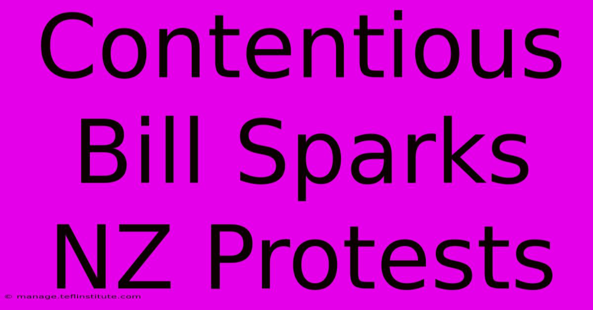 Contentious Bill Sparks NZ Protests