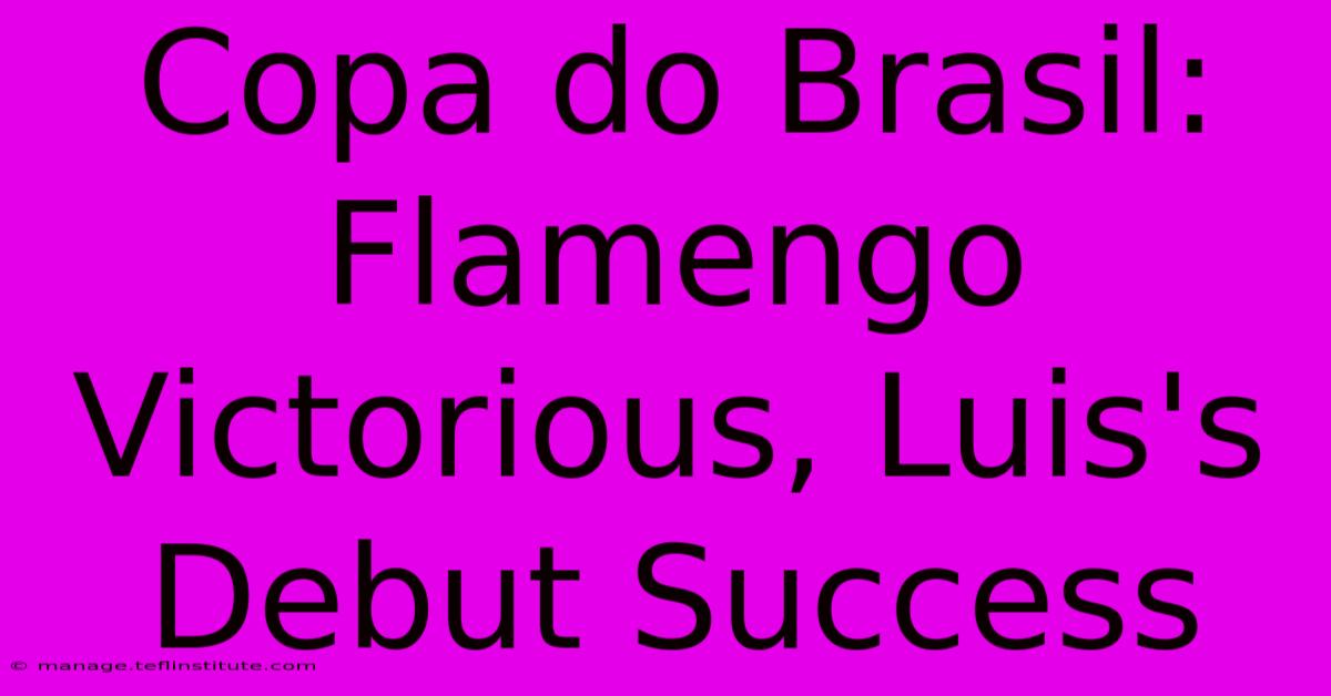 Copa Do Brasil: Flamengo Victorious, Luis's Debut Success