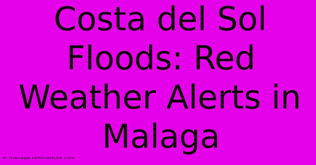 Costa Del Sol Floods: Red Weather Alerts In Malaga 