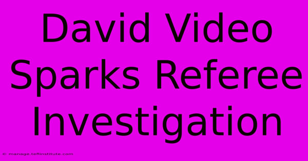 David Video Sparks Referee Investigation