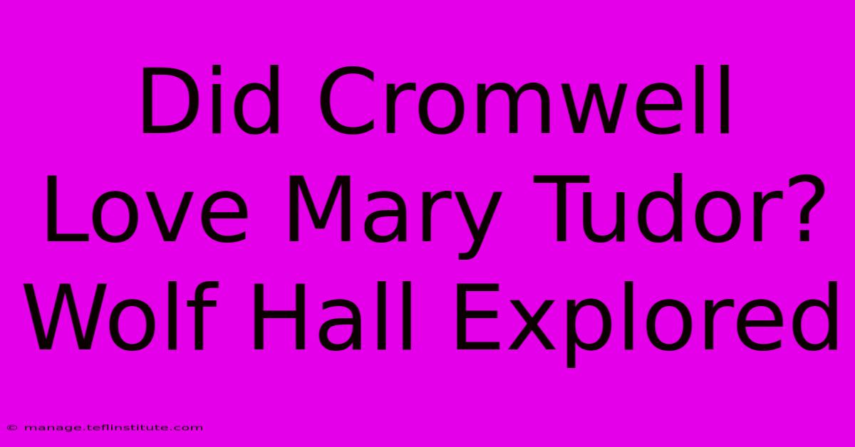 Did Cromwell Love Mary Tudor? Wolf Hall Explored