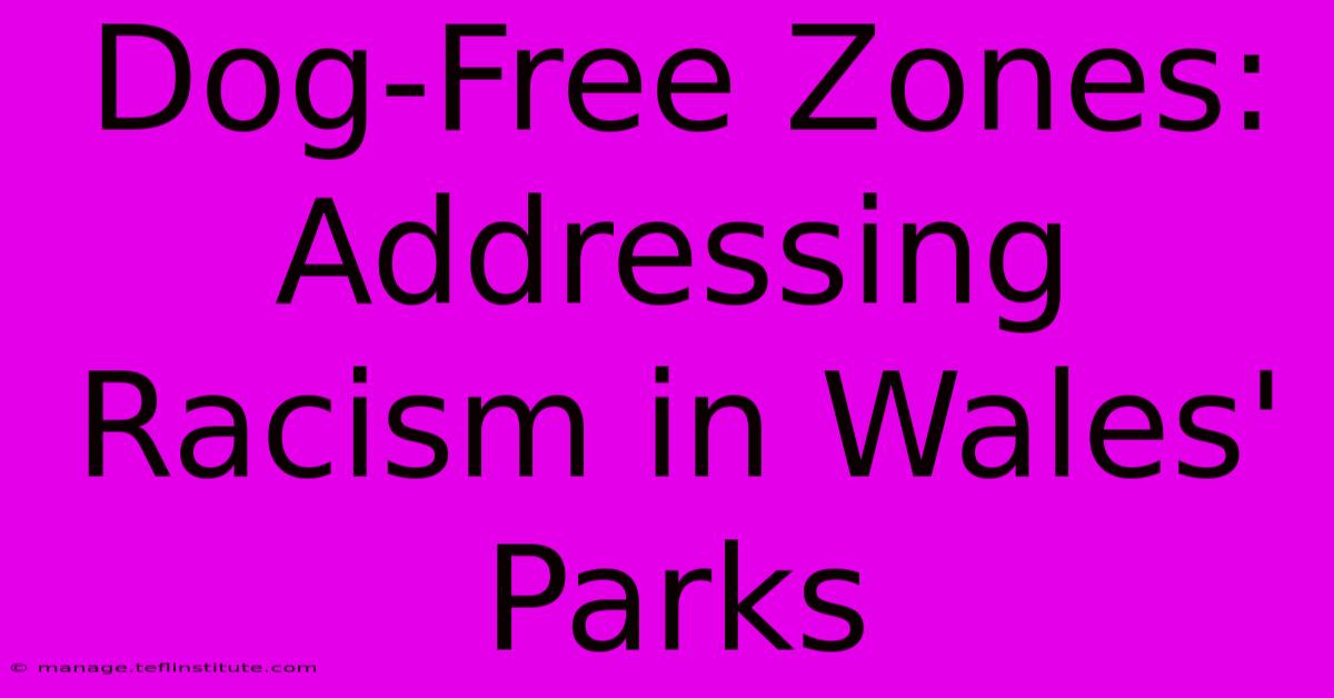 Dog-Free Zones: Addressing Racism In Wales' Parks