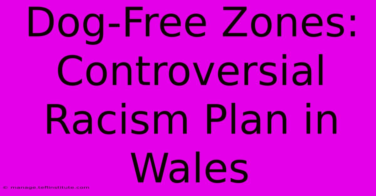 Dog-Free Zones: Controversial Racism Plan In Wales 