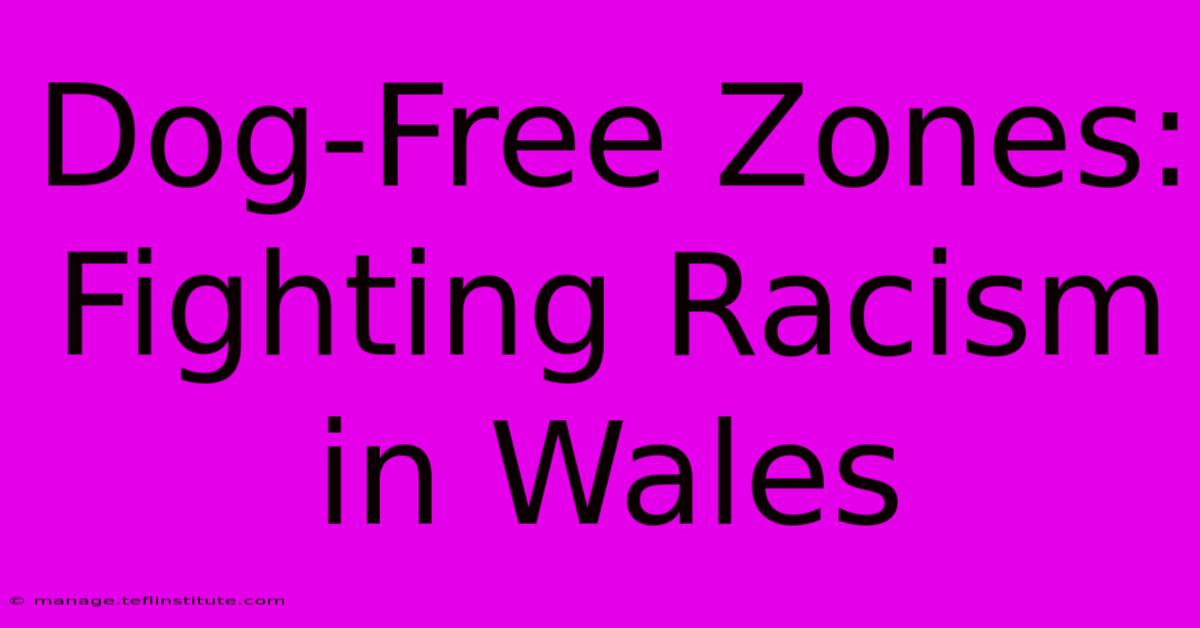 Dog-Free Zones:  Fighting Racism In Wales