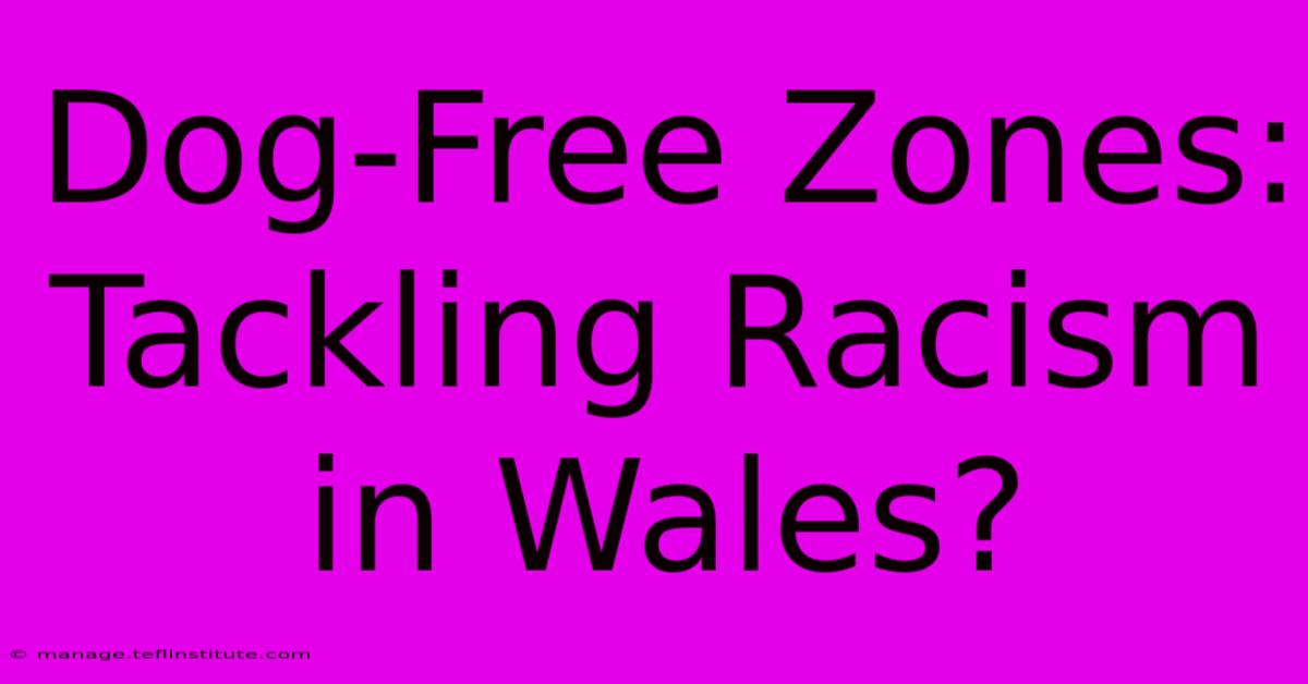 Dog-Free Zones: Tackling Racism In Wales?