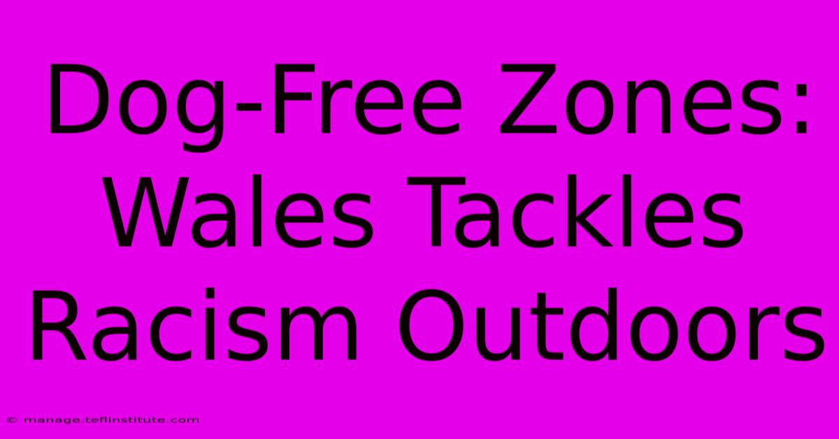 Dog-Free Zones: Wales Tackles Racism Outdoors