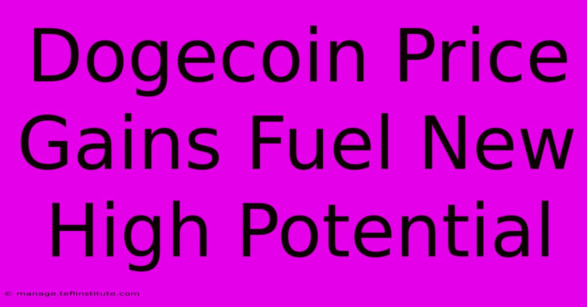 Dogecoin Price Gains Fuel New High Potential