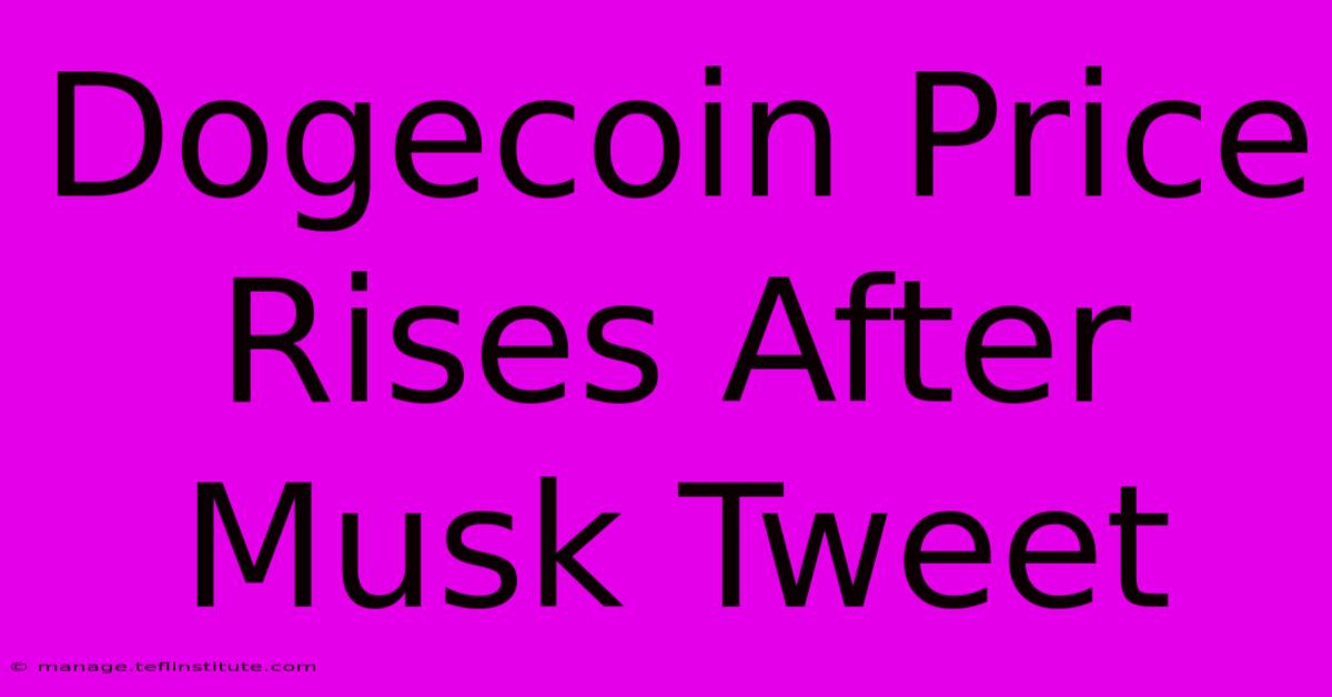 Dogecoin Price Rises After Musk Tweet 