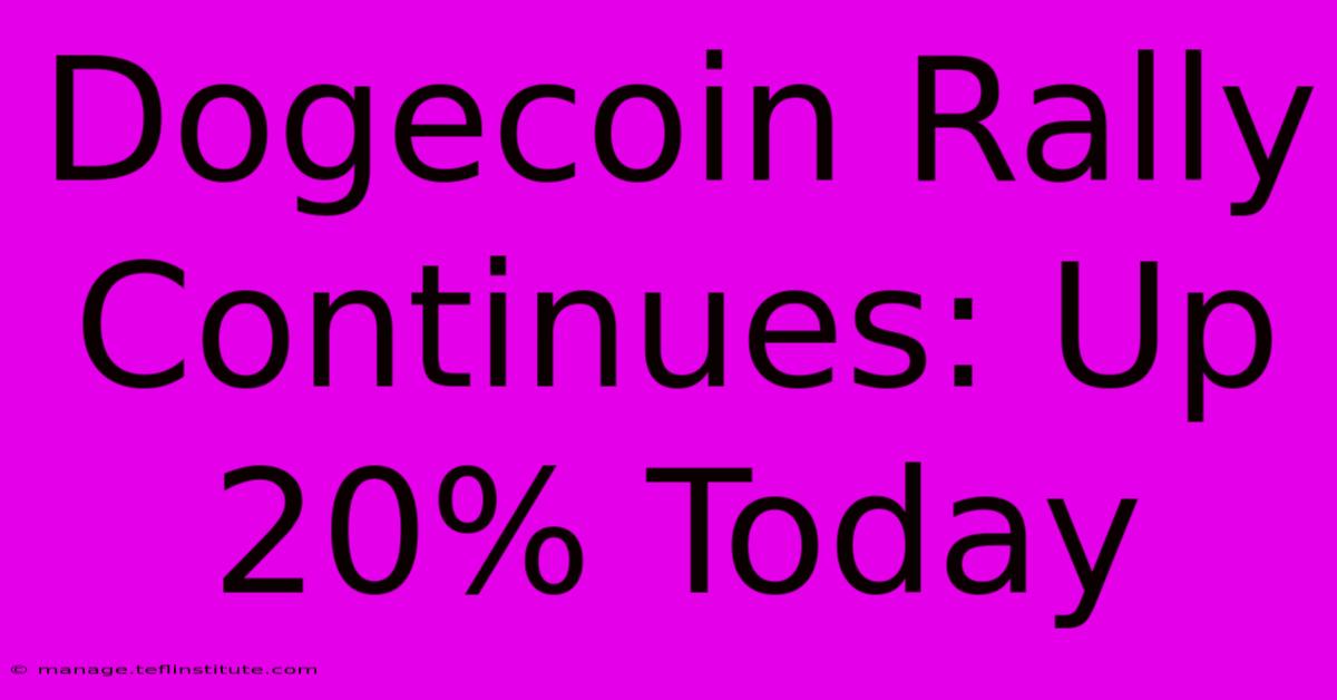 Dogecoin Rally Continues: Up 20% Today